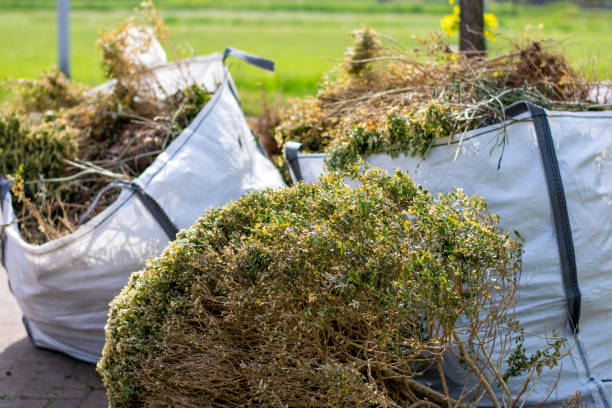 Basement Cleanout Services in Castalia, OH
